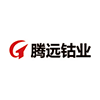 騰遠鈷業.png